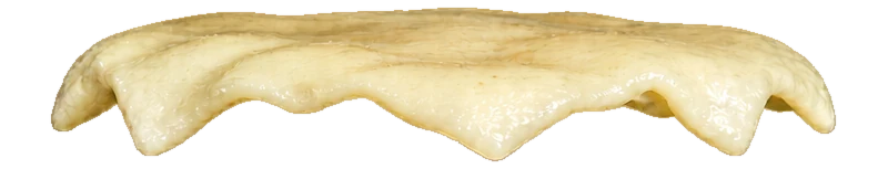 QUEIJO MUSSARELA
