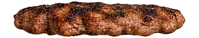 BURGER ARTESANAL 130G