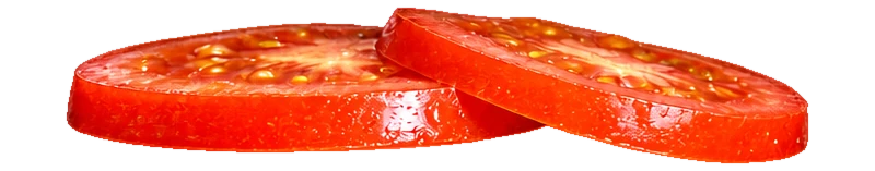 TOMATE EM RODELAS